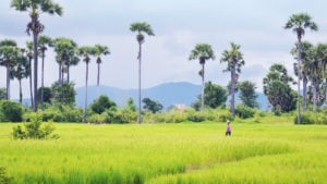 cambodia