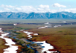 Alaskan tundra in summer. U.S. Fish & Wildlife Service.
