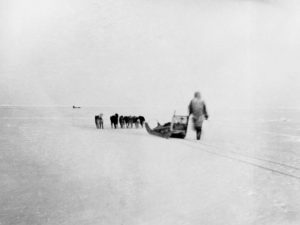 Peary's Expedition to the North Pole in the late 1800s.