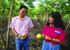 Hawaii’s GMO ban follows in Europe’s footsteps