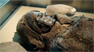 Evidence the Chinese Government would like to see Mummified