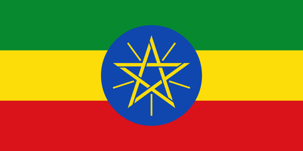 Ethiopia Between Risk and Reform