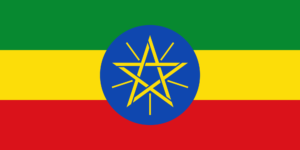 Ethiopia Between Risk and Reform