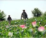 For the US, Opium a Target