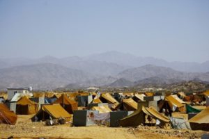 Countering the Sunni-Shia Divide