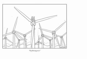 The Power of Wind