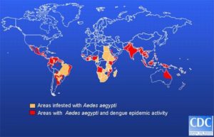 Vectors, Lepidoptera and Invasives
