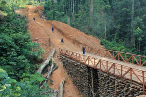 Risky Business: DRC Mining Gambles