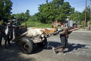 Super Storm Sandy Exposed Haiti's Failed Reconstruction