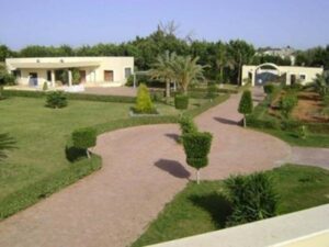 Security in Benghazi