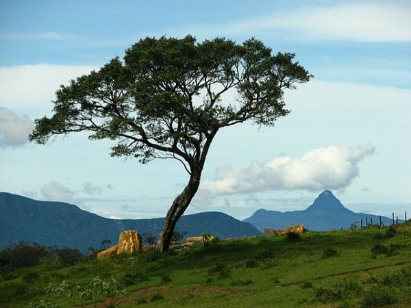 640px-View_from_Ambewela,_Sri_Lanka