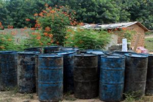 Beyond Local Content: Catalyzing Job Creation in Ghana’s Oil Sector