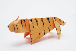 Op-Ed: Has US President Donald Trump become a paper tiger?