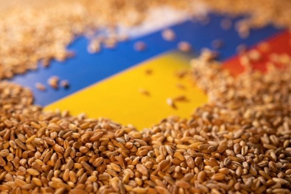 Grain is placed on Ukrainian and Russian flags in this picture illustration taken May 9, 2022. REUTERS/Dado Ruvic/Illustration