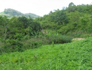 Oxfam Criticizes World Bank on Land Issues