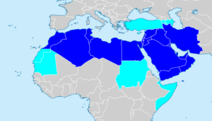 Questioning Water Scarcity in the MENA Region