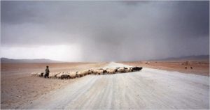 China Wins Afghan Oil Contract