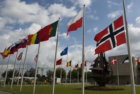 Defense Cuts Harm the Transatlantic Alliance