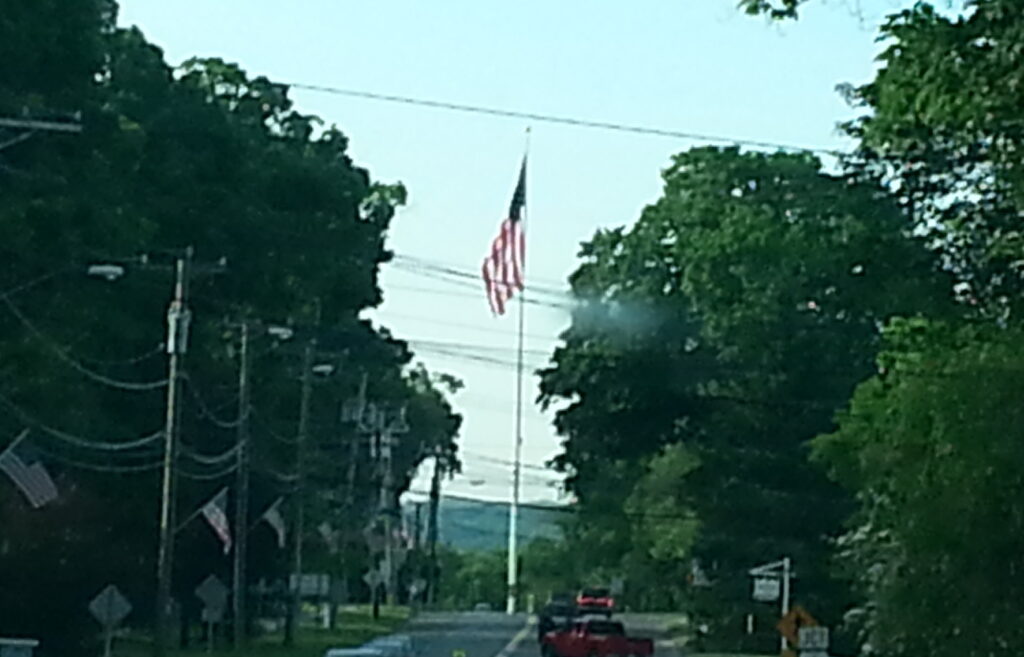 US Flag in the trees.
