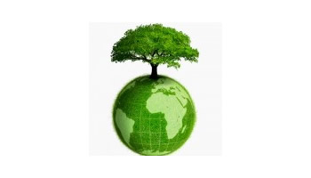 2011: Renewables, Year in Review