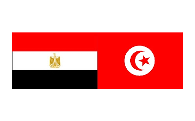 Emerging Leaders from Egypt and Tunisia Awarded Fellowships
