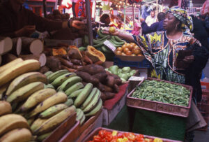 Africa's Flowering Economies