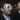 Questioning Assumptions About Iran