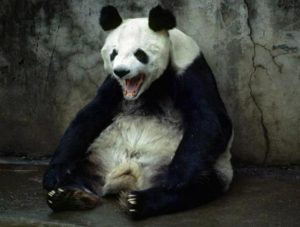 Great Power? China Rages Incoherently at Japan and Video Games