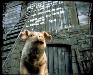 animal-farm