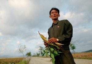 article-north-korea-hunger