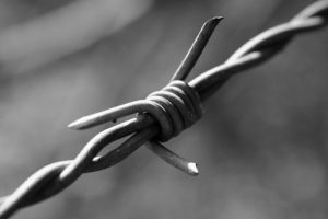 Money makes Cuba policy go 'round