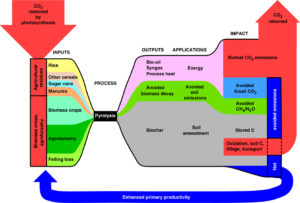 New Biochar Studies