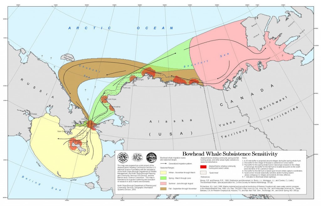 Map of Bowhead Whale Migration