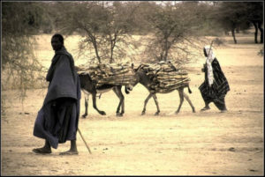 Climate Change in Developing Countries: Some Interesting Facts