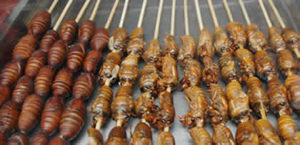 Do Insects Have a Future as a Food Source?