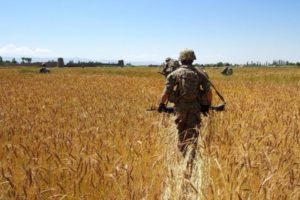 Take a Bite out of Terror: Battling the Taliban’s Influence in Schools