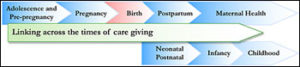 Maternal mortality – a primer