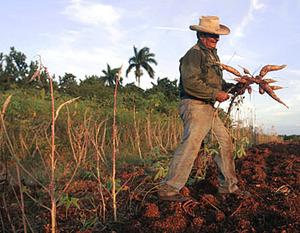 Miami Herald photo, reused by Havana Journal