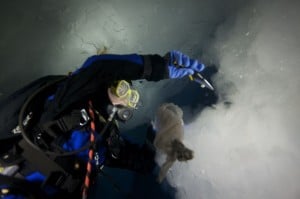 divingunderwater