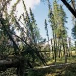 Thawing Permafrost Could Accelerate Global Warming