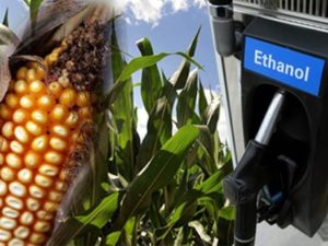 The American Bio-fuel Strategy: The Curious Case of Ethanol