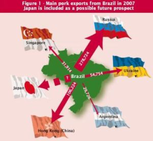 Swine Flu's Spread and Brazil