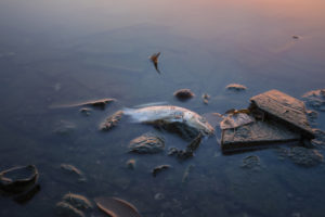 One Year On From Vietnam’s Worst Environmental Disaster