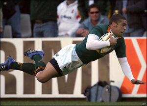 Springbok Fever!