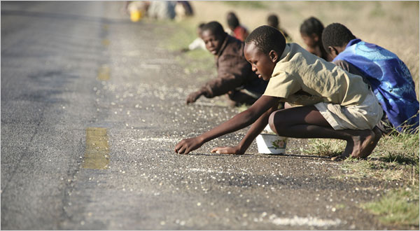 Making Do in Zimbabwe