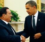 The Egyptian Opposition: Not seeing the Forest for the Trees
