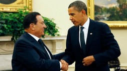 The Egyptian Opposition: Not seeing the Forest for the Trees