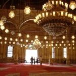 The Muslim Brotherhood: Between Survival and Progress