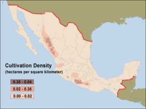Where do Mexico's drugs come from?