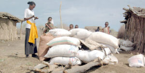 Ethiopia in Need of Emergency Food Aid